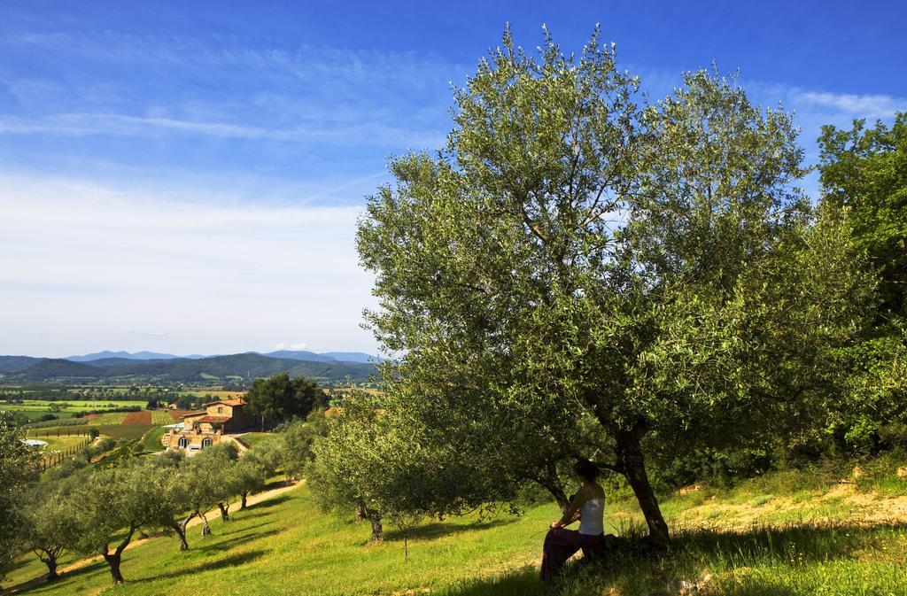 Wine Resort Conti Di San Bonifacio Montemassi Екстериор снимка