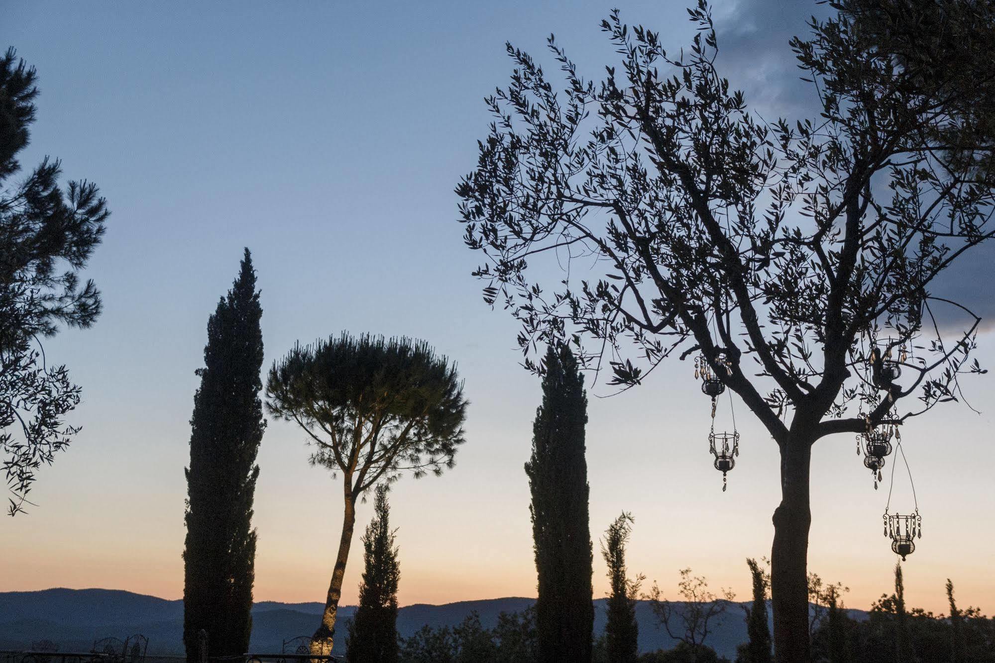 Wine Resort Conti Di San Bonifacio Montemassi Екстериор снимка
