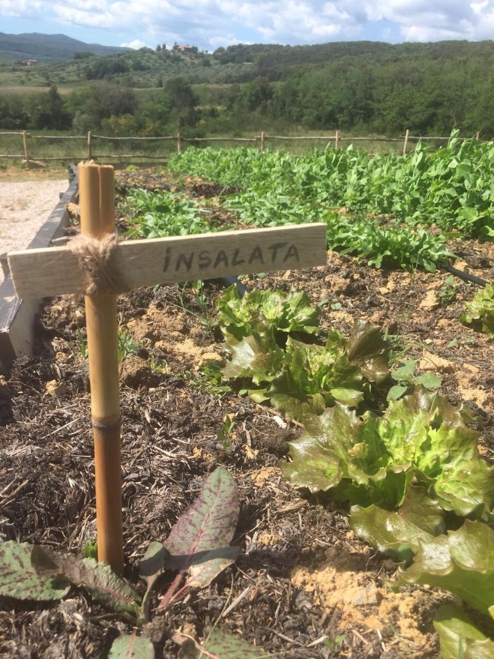 Wine Resort Conti Di San Bonifacio Montemassi Екстериор снимка